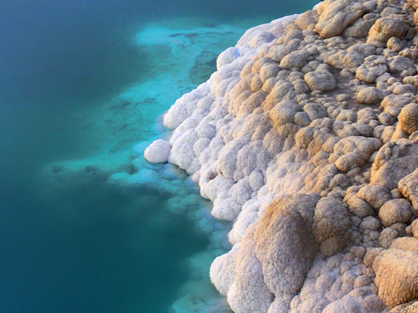 Dead Sea Rocks