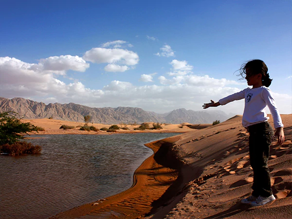 Wadi Rum Oasis