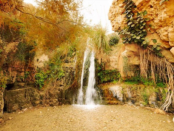 Ein Geidi