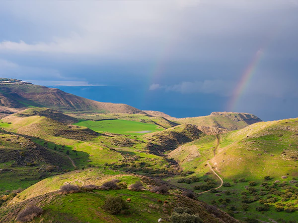Golan Heights Views