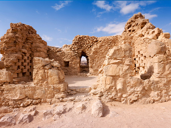 Masada Day Tour