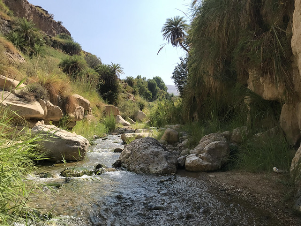 Wadi Bin Hammad